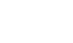 Wunderino Casino logo